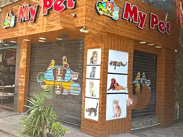 Shops For sale in El Seyouf, Alexandria, 20 sqm