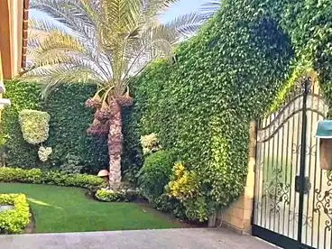 عقارات للبيع في شارع العيادة القديمة، البيطاش، 310 متر