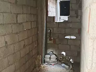 Apartments For sale in Abu Yusuf, Al Agamy, 110 sqm