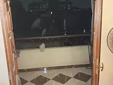 Properties For sale in Ain Shams, Greater Cairo, 140 sqm