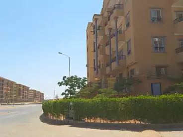 عقارات للإيجار في حي 2000 قطعة، التوسعات الشمالية، 190 متر