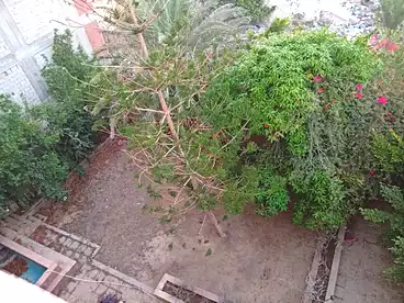 Villas For sale in El Kilo 26, El Amreya, 500 sqm