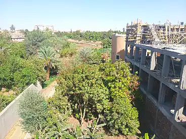 أراضي للبيع في العوامية، مدينة الاقصر، 640 متر