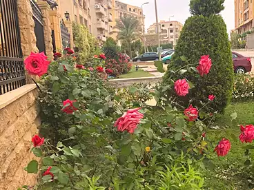 للبيع في شارع الدكتور هاني ماهر، غرب أربيلا، 157 متر