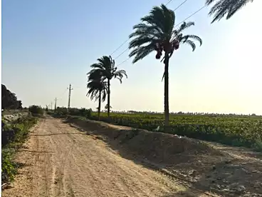 أرض تجارية للبيع في طريق القاهرة - الإسكندرية الصحراوي، الاسكندرية، 237000 متر