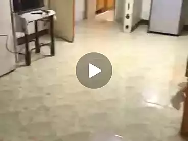Apartments For sale in Toman Bai St, El Zaytoun El Sharkeya, 110 sqm
