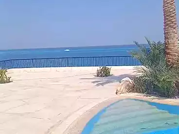 Properties For sale in Sheraton St., El Hadba, 1800 sqm