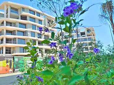 Apartments For sale in Armonia Compound - TLD, R7, 89 sqm