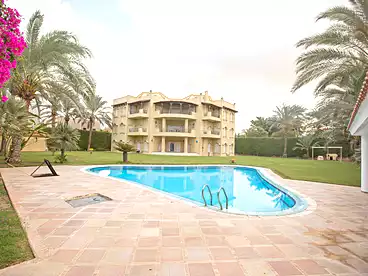 Properties For sale in Mohamed Rashid St., King Mariout, 1200 sqm