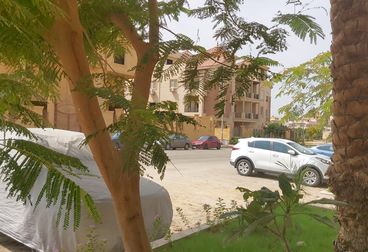 listing-image