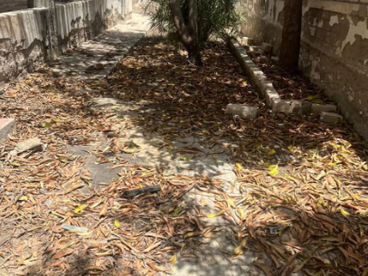 listing-image