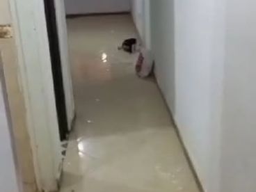 شقه (للبيع) في الهرم من المالك مباشر  شارع الجامع متفرع من المريوطيه الرئيسي  135متر