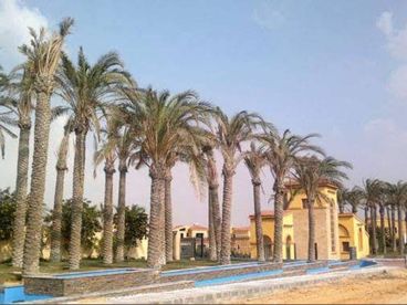 شقة للبيع في Nest Cairo استلام فوري Katameya Gardens