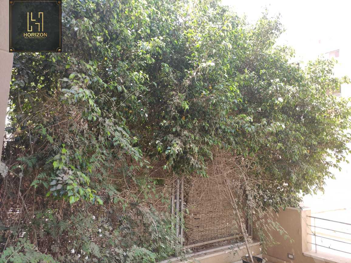 https://aqarmap.com.eg/ar/listing/4193958-for-rent-cairo-new-cairo-compounds-kmbwnd-fyldj-jyt-blm-hylz