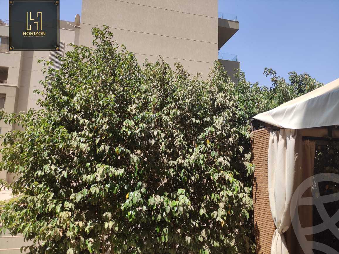 https://aqarmap.com.eg/ar/listing/4193958-for-rent-cairo-new-cairo-compounds-kmbwnd-fyldj-jyt-blm-hylz