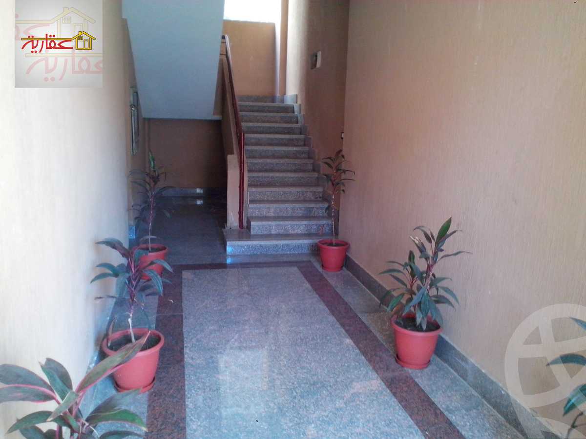 https://aqarmap.com.eg/en/listing/5695554-for-rent-sharqia-10th-of-ramadan-al-hay-al-awal