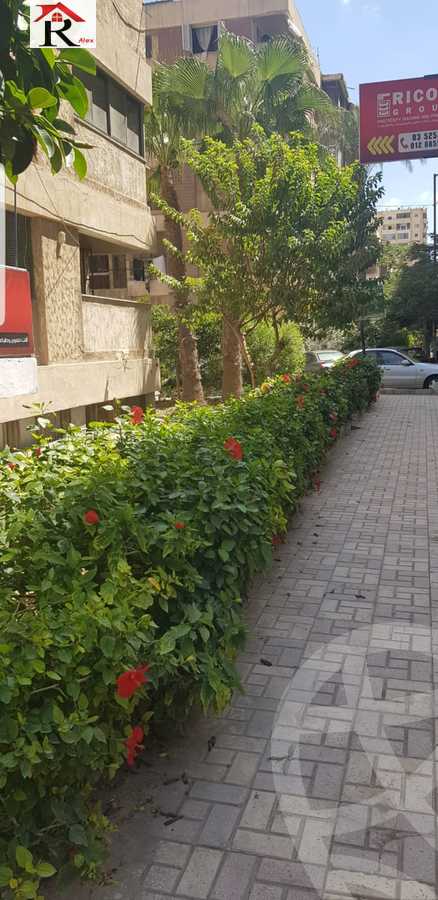 https://aqarmap.com.eg/ar/listing/4656010-for-sale-alexandria-lsywf-el-falki