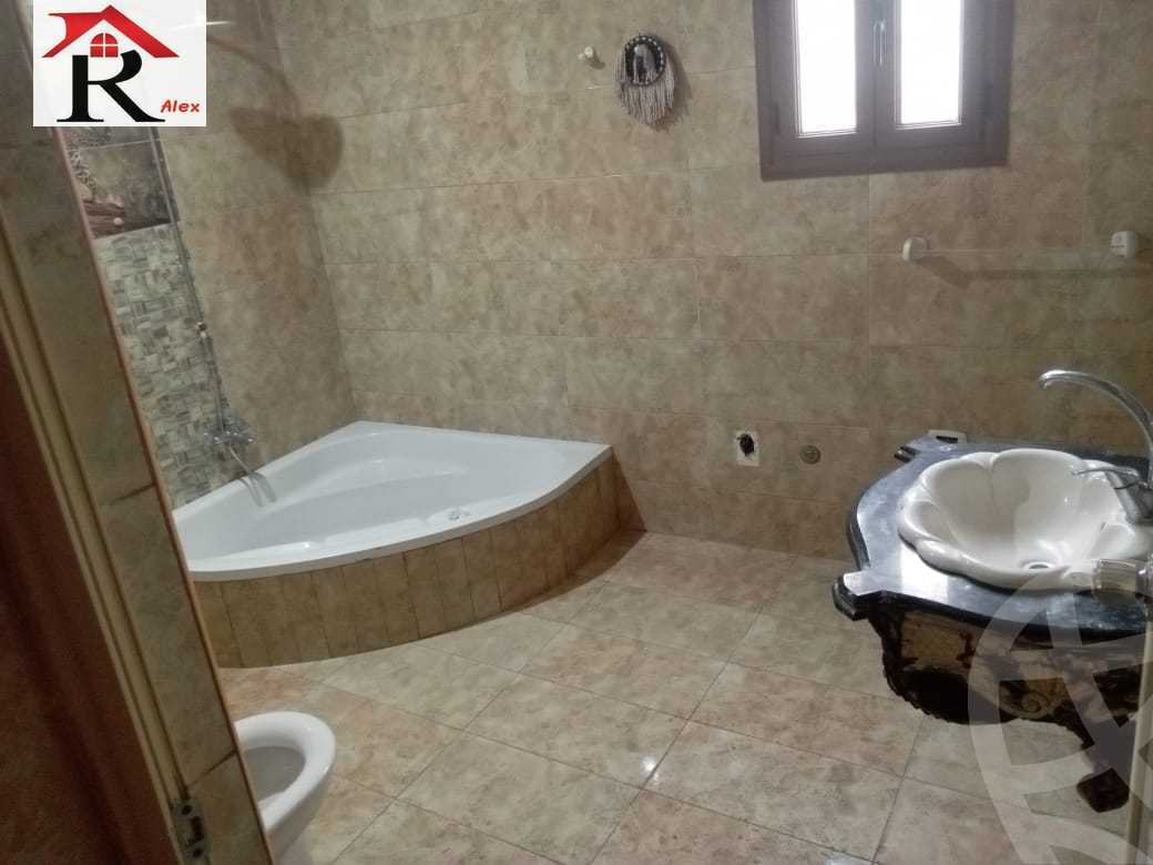 https://aqarmap.com.eg/en/listing/4248407-for-rent-gamila-abu-herid-st