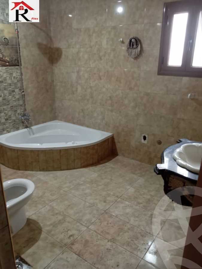 https://aqarmap.com.eg/en/listing/4248407-for-rent-gamila-abu-herid-st