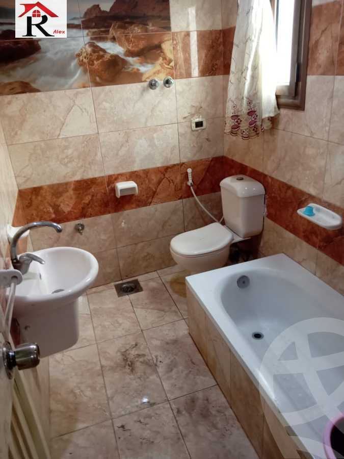 https://aqarmap.com.eg/en/listing/4248407-for-rent-gamila-abu-herid-st