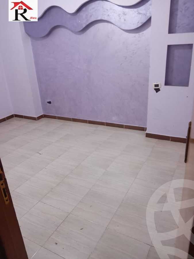 https://aqarmap.com.eg/en/listing/4248407-for-rent-gamila-abu-herid-st