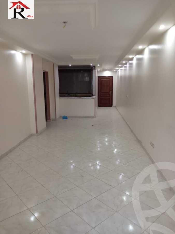 https://aqarmap.com.eg/en/listing/4338833-for-sale-amin-hassouna-st