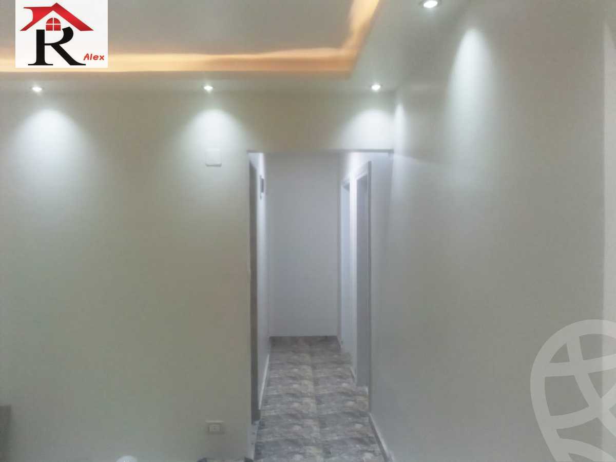 https://aqarmap.com.eg/en/listing/4338849-for-rent-amin-hassouna-st