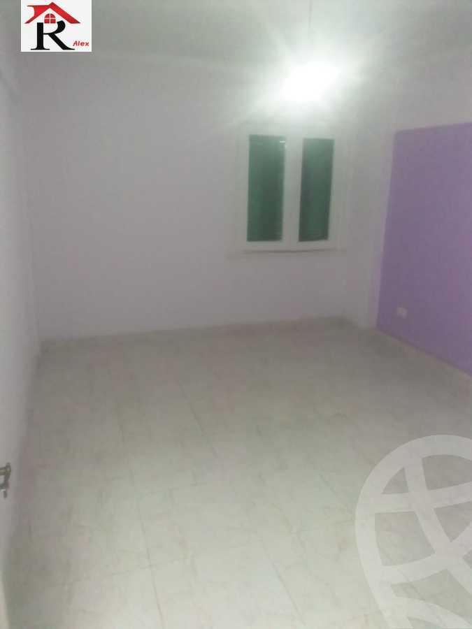 https://aqarmap.com.eg/en/listing/4338849-for-rent-amin-hassouna-st