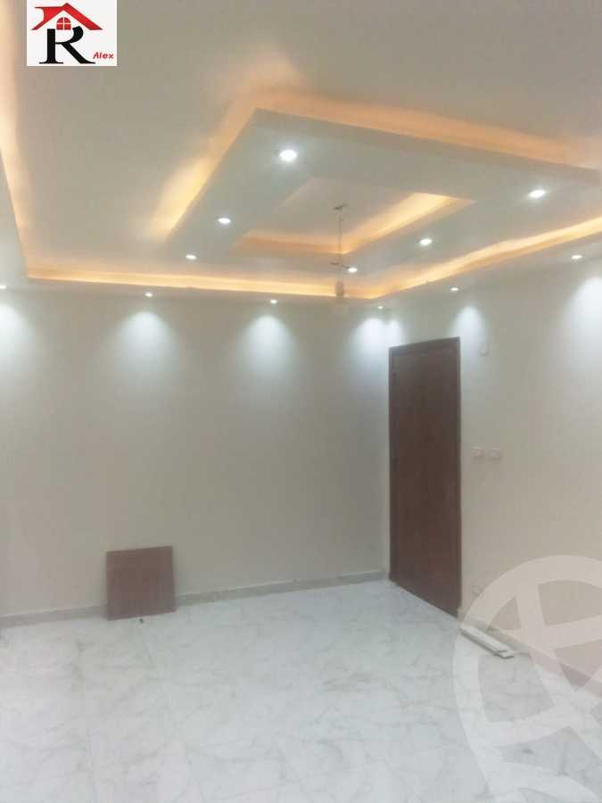 https://aqarmap.com.eg/en/listing/4338849-for-rent-amin-hassouna-st