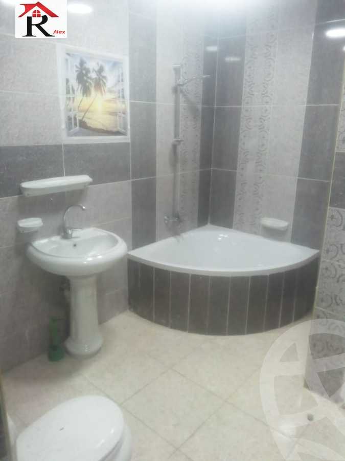 https://aqarmap.com.eg/en/listing/4338849-for-rent-amin-hassouna-st