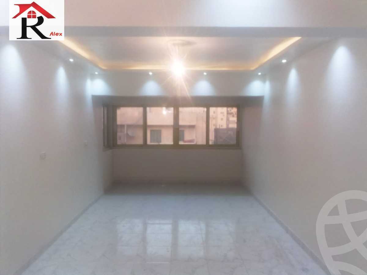 https://aqarmap.com.eg/en/listing/4338849-for-rent-amin-hassouna-st
