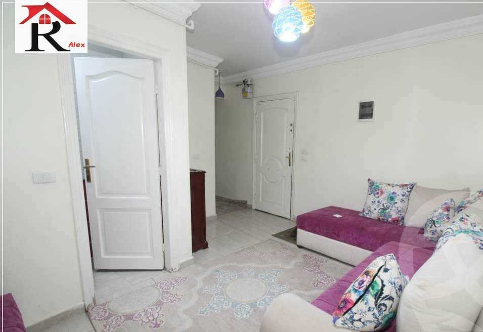https://aqarmap.com.eg/en/listing/4358021-for-sale-alexandria-miami-khld-bn-lwlyd
