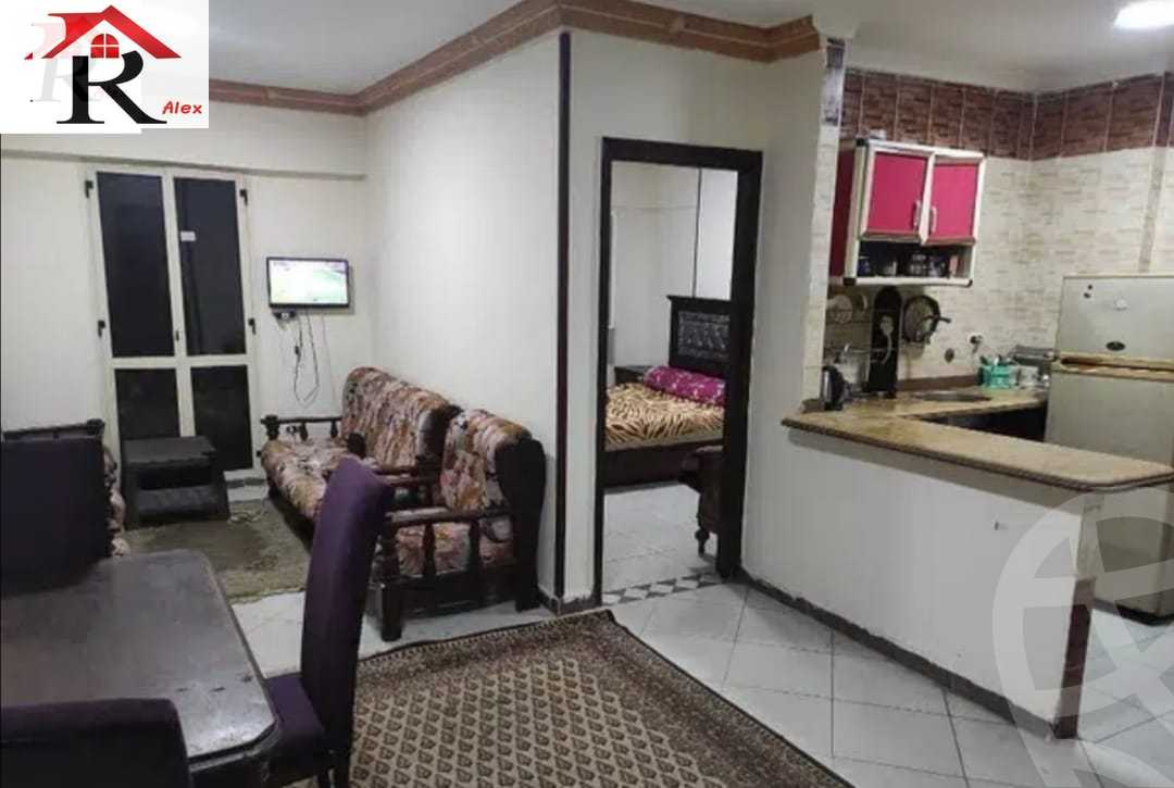 https://aqarmap.com.eg/en/listing/4362255-for-sale-alexandria-miami-khld-bn-lwlyd