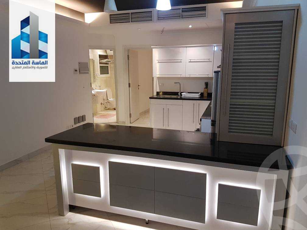 https://aqarmap.com.eg/en/listing/4240318-for-rent-cairo-nasr-city-compounds