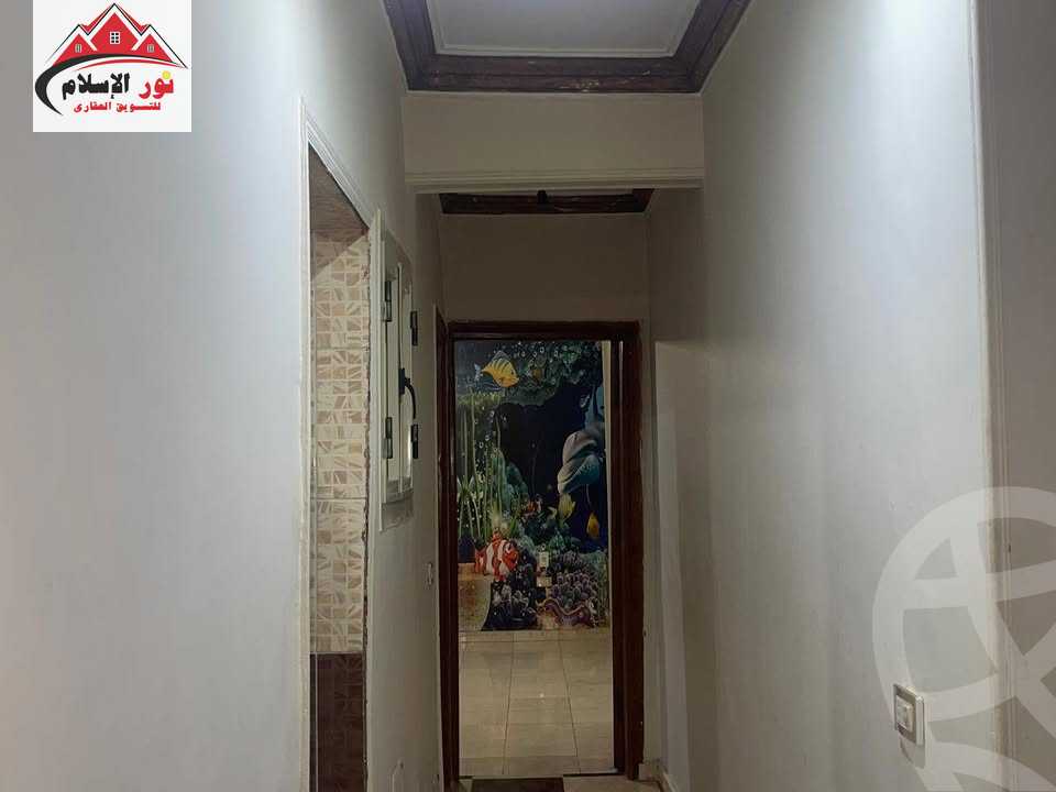 https://aqarmap.com.eg/en/listing/5862041-for-rent-cairo-faisal-el-maryotyah