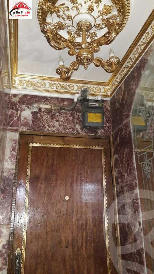 https://aqarmap.com.eg/en/listing/5950073-for-rent-cairo-el-haram-nasr-el-din