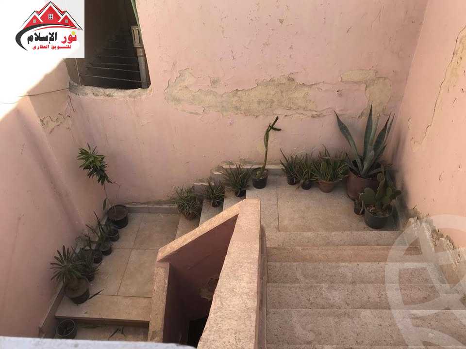 https://aqarmap.com.eg/en/listing/6022148-for-rent-cairo-faisal-shareaa-el-thalatheny