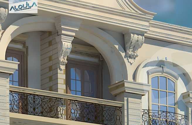 https://aqarmap.com.eg/ar/listing/4921243-for-sale-cairo-6th-of-october-el-tawsaat-el-shamalya-lhy-300