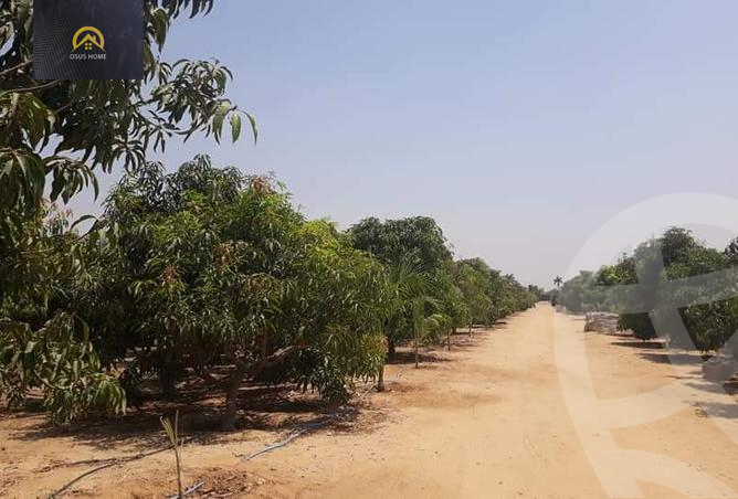 https://aqarmap.com.eg/ar/listing/3981726-for-sale-cairo-al-oubour-jm-y-rby-kht-8-shml