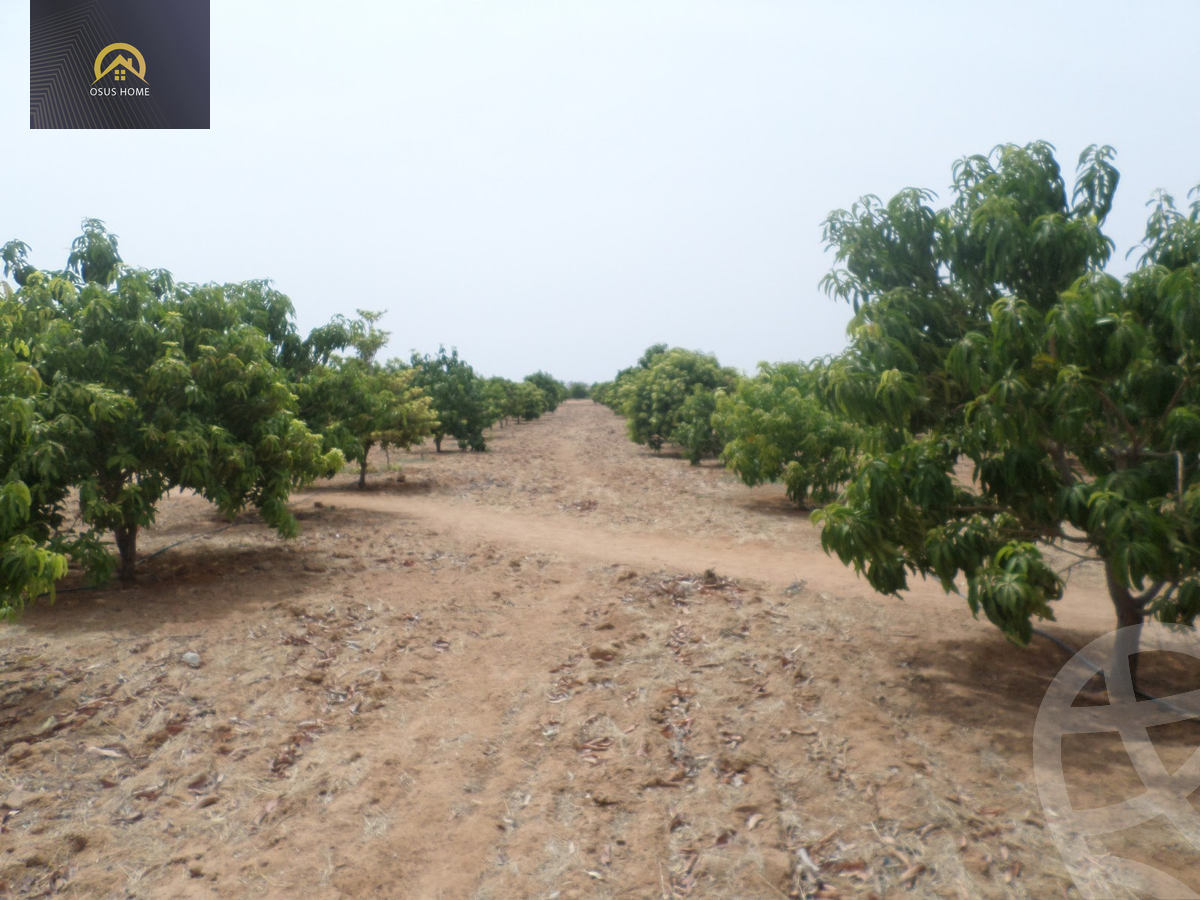 https://aqarmap.com.eg/ar/listing/3981726-for-sale-cairo-al-oubour-jm-y-rby-kht-8-shml