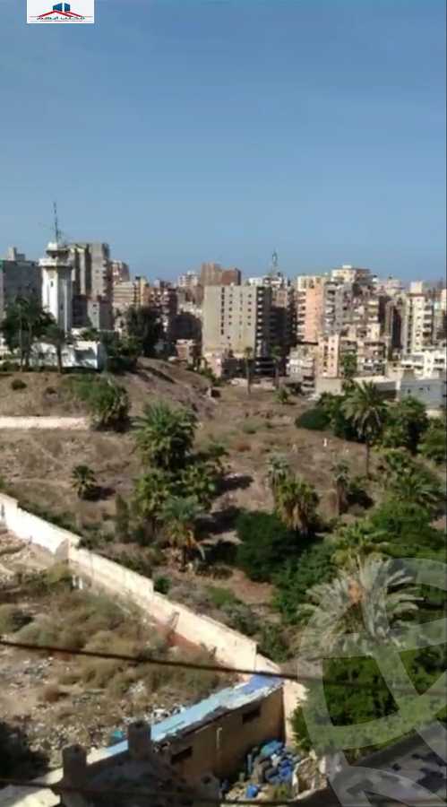https://aqarmap.com.eg/en/listing/4324675-for-sale-alexandria-mansheya-al-gazaar-st