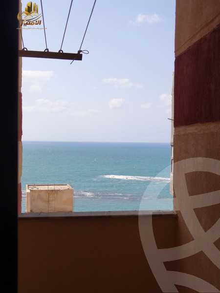https://aqarmap.com.eg/en/listing/4324747-for-rent-alexandria-el-montazah-el-geesh
