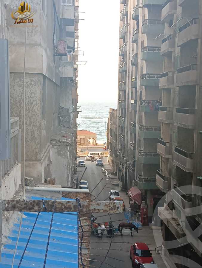 https://aqarmap.com.eg/en/listing/5668959-for-rent-alexandria-el-asafra-ahmed-tiesser-st