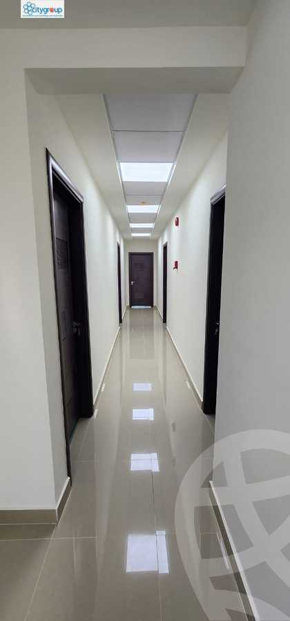 https://aqarmap.com.eg/en/listing/5339110-for-rent-cairo-el-maadi-daeaary-el-maadi