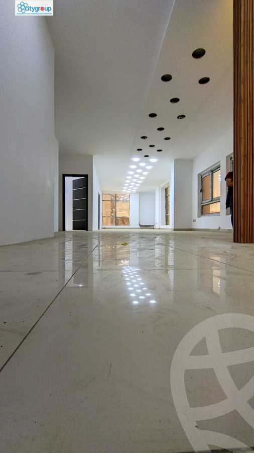 https://aqarmap.com.eg/en/listing/5738411-for-rent-cairo-el-maadi-el-maadi-el-gededa-el-lasilki