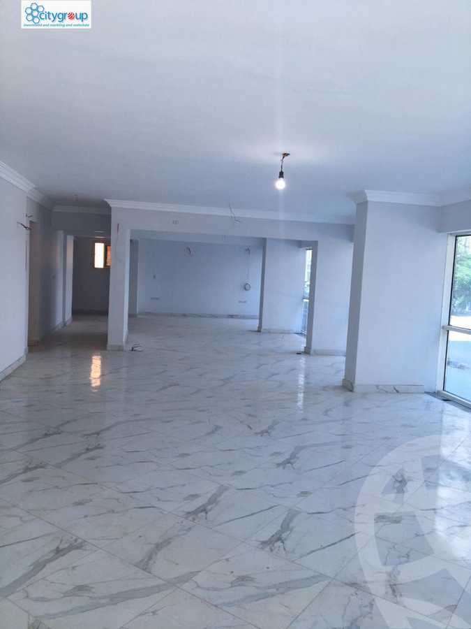 https://aqarmap.com.eg/en/listing/6082571-for-rent-cairo-el-maadi-el-maadi-el-gededa-el-lasilki