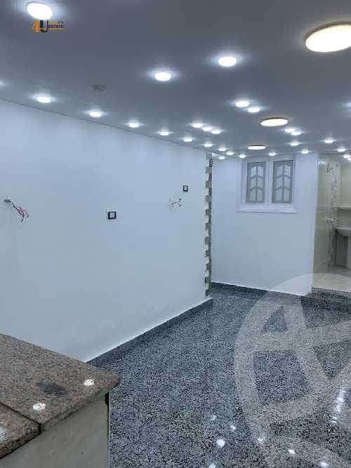 https://aqarmap.com.eg/en/listing/5967773-for-rent-cairo-new-cairo-el-yassamin-el-yasmeen-4-ali-al-sibai-st
