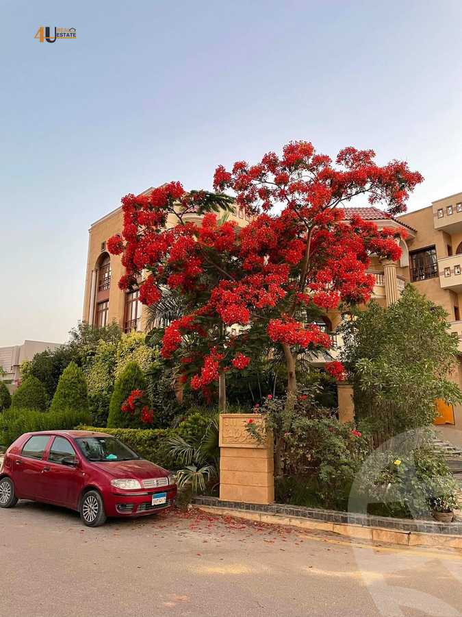 https://aqarmap.com.eg/en/listing/6280956-for-rent-cairo-new-cairo-el-yassamin-el-yasmeen-8