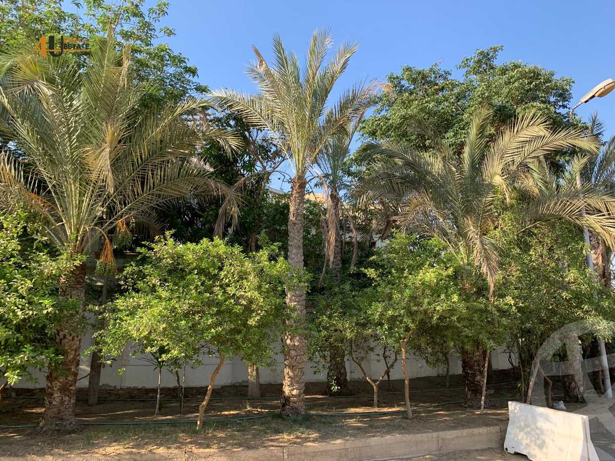 https://aqarmap.com.eg/en/listing/6552684-for-sale-cairo-new-cairo-ganob-el-akadamiya-south-academy-d-abbas-mahmoud-el-akad-st