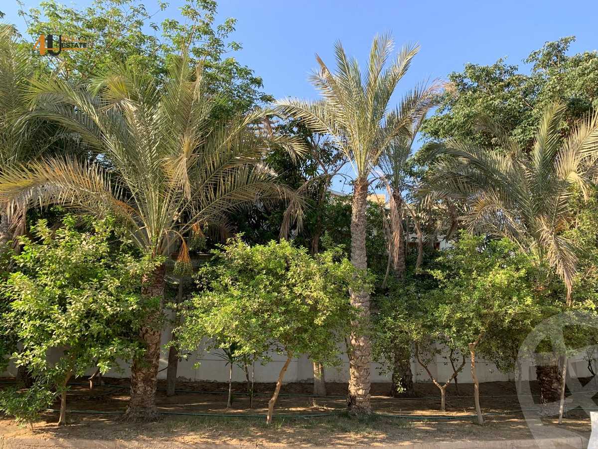 https://aqarmap.com.eg/en/listing/6552684-for-sale-cairo-new-cairo-ganob-el-akadamiya-south-academy-d-abbas-mahmoud-el-akad-st